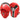 RDX Focus Pad Aura Plus T - 17 - RDX Sports | Switzerland #color_rouge
