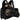 RDX F6 Kara Coach Chest Protector#color_gold